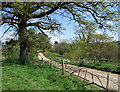 Access Road to Holway Farm