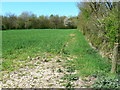 Bloxham Copse near Crofton