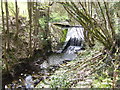 Weir on the Old Mill Burn