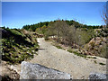 Track to Mynydd Bwllfa