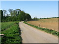 Driveway to Sacombe Hill Farm