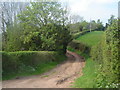 Track at Wood Farm, Gwehelog