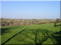 Cae ar lethrau Cwm Soden / A Field on the slopes of the Soden Valley