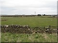 Farmland, High Stoop