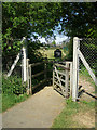 TL4711 : Footpath to Old Harlow North from Gilden Way by John Allen