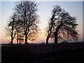 Evening skies near Tottons Down Barn