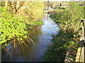 River Chess in Chesham