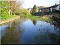 River Chess at Waterside, Chesham