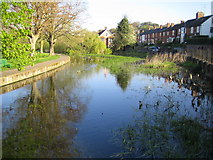 SP9600 : River Chess at Waterside, Chesham by Nigel Cox