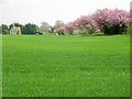 Blossom by Heath Farm Cottages