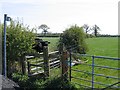 Footpath from Highfield Lane