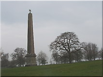 ST7734 : Obelisk at Stourhead by David Hawgood