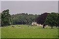 Farm near Ridley Hall