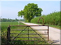 Track South-west of Blackmoor