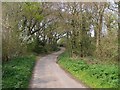 Jordans Lane, approaching Bull Hill