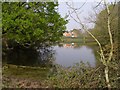 Pond, Pilley Bailey, New Forest