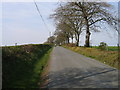 Lon Wledig ger Blaenpennal / Country Lane near Blaenpennal