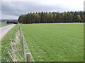 Fields and woods near Woodhouse.