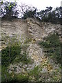 Looking up to magnesian limestone cliffs