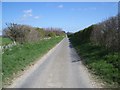 TF9540 : Long Lane South of Fiddler's Hill by Nigel Stickells