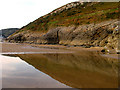 Cliff and Reflection: Caswell Bay