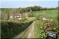 Morchard Bishop: track to Stone Ash Farm