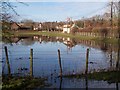 Nailbourne in flood