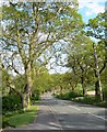 Roecliffe Road near Leicester