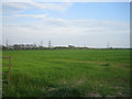 SP7425 : Field near East Claydon by Andy Gryce