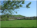 Water Meadows looking towards Bothenhampton