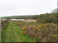 Track round Upper Tamar Lake with gorse