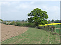 Fields near Claverley, Shropshire