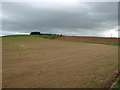 Farm at Low Coldmartin