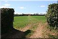 Tracks through the grass