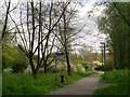 Footpath at Anglia Ruskin University