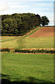 Footpath near Turvey