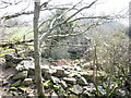 The ruins of Braich-y-dinas cottage