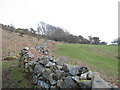 View up-slope towards the ruins of Braich-y-dinas