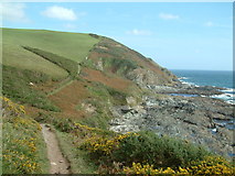 SX1750 : Coast Path at East Coombe by Robin Lucas
