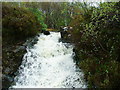 NM6978 : Waterfall on An Garbh-allt by Dave Fergusson