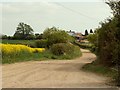 The road to Brook House Farm