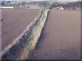 Field boundaries near Newtyle