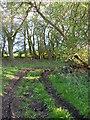 Approaching the bend in the lane