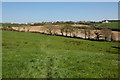 Farmland to the west of Woodford