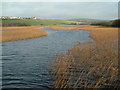 Reedbeds and river , Thurlstone