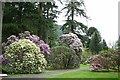 Benmore Botanic Garden, near Dunoon.