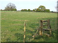 Footpath to Stelling Minnis