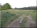 Low moorland by Bockham Lane