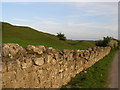 NZ3231 : The lumps and bumps of Bishop Middleham Castle earthworks by Carol Rose