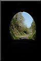 SS4523 : The Landcross Tunnel on the Tarka Trail by Philip Halling